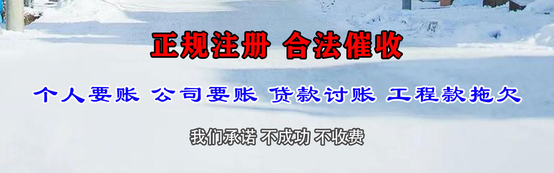 绿园追账公司